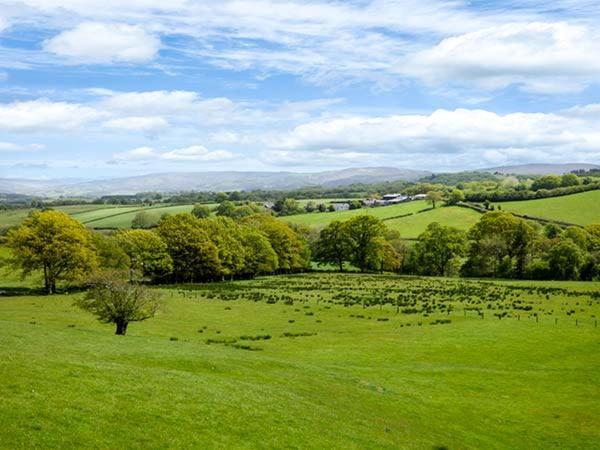 Black Mountain View Llanafan-fawr Exterior foto