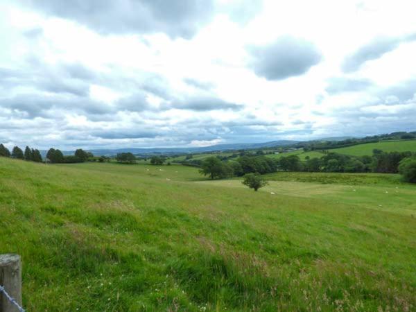 Black Mountain View Llanafan-fawr Exterior foto